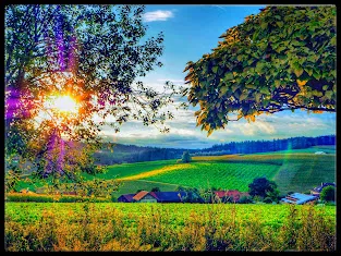 Sonnenstrahlen brechen durch Bäume über Feldern