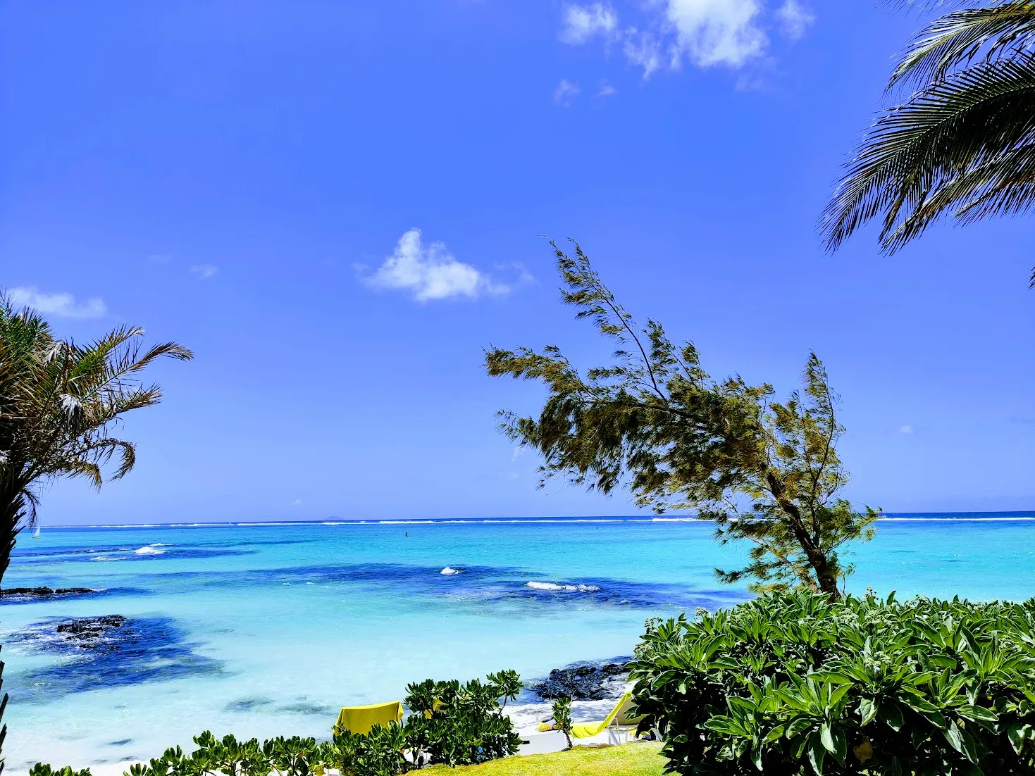 Türkisblaues Meer mit Palmen