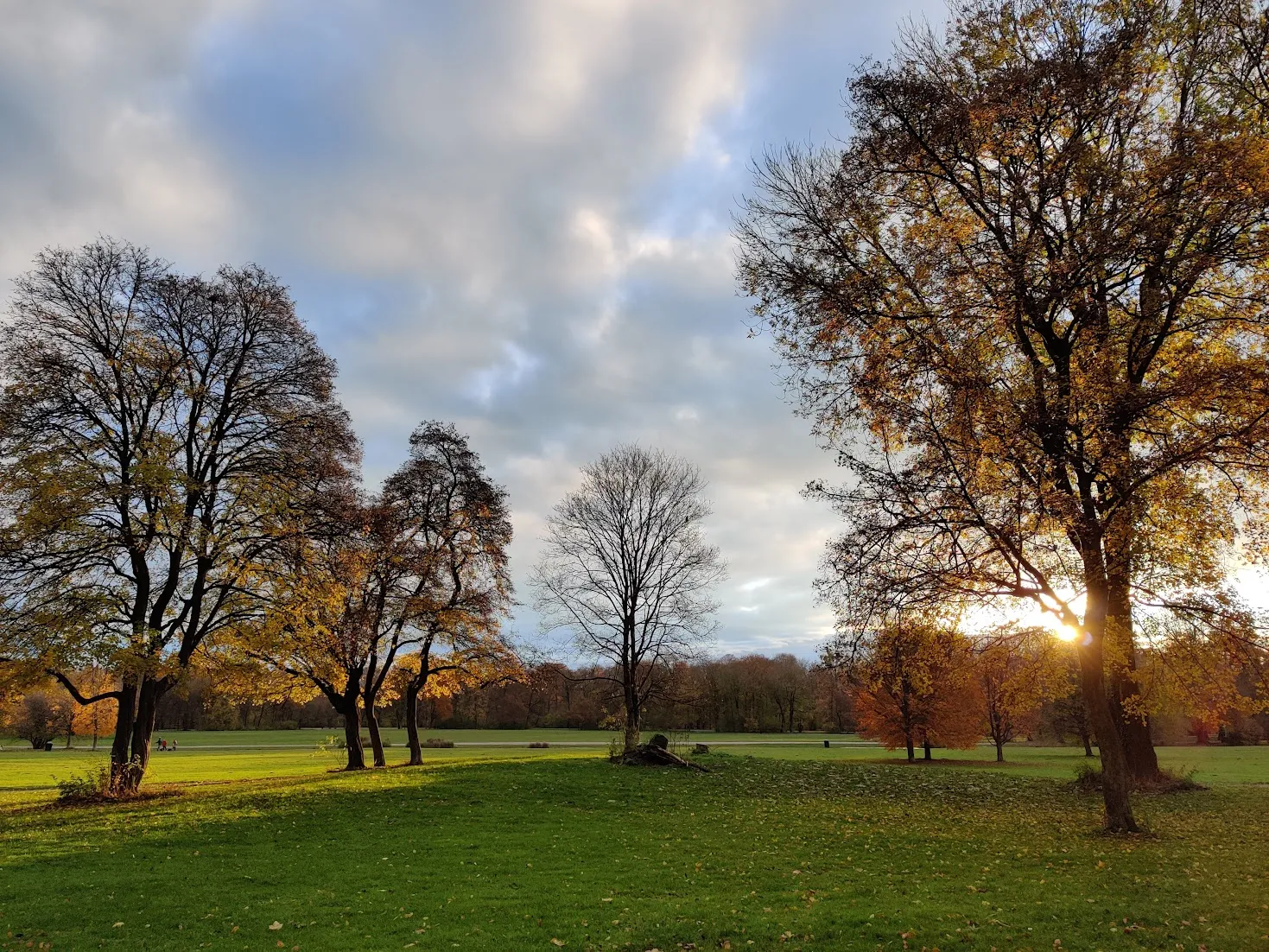 Herbstlicher Park im Morgenlicht