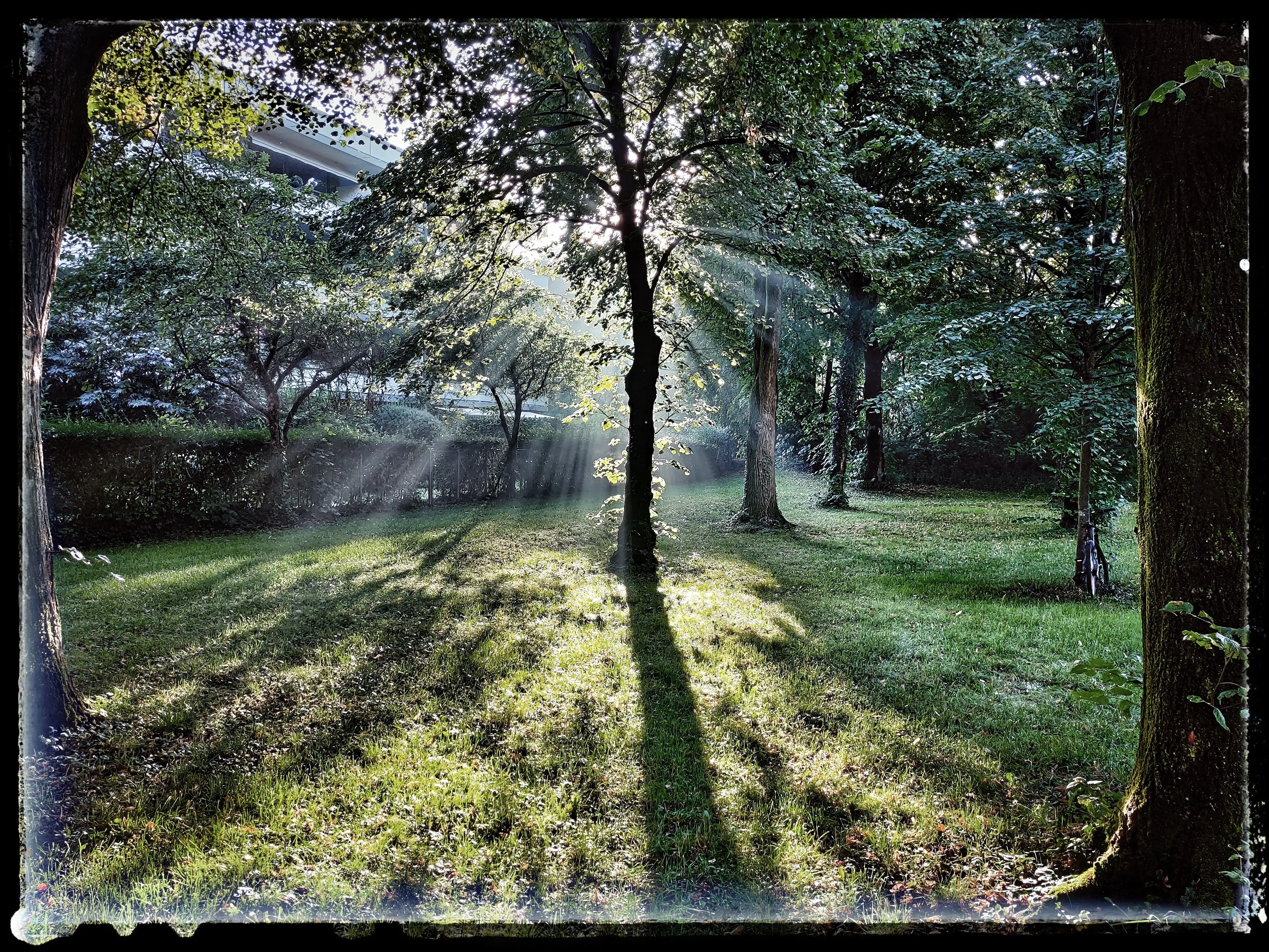 Sonnenstrahlen im Park